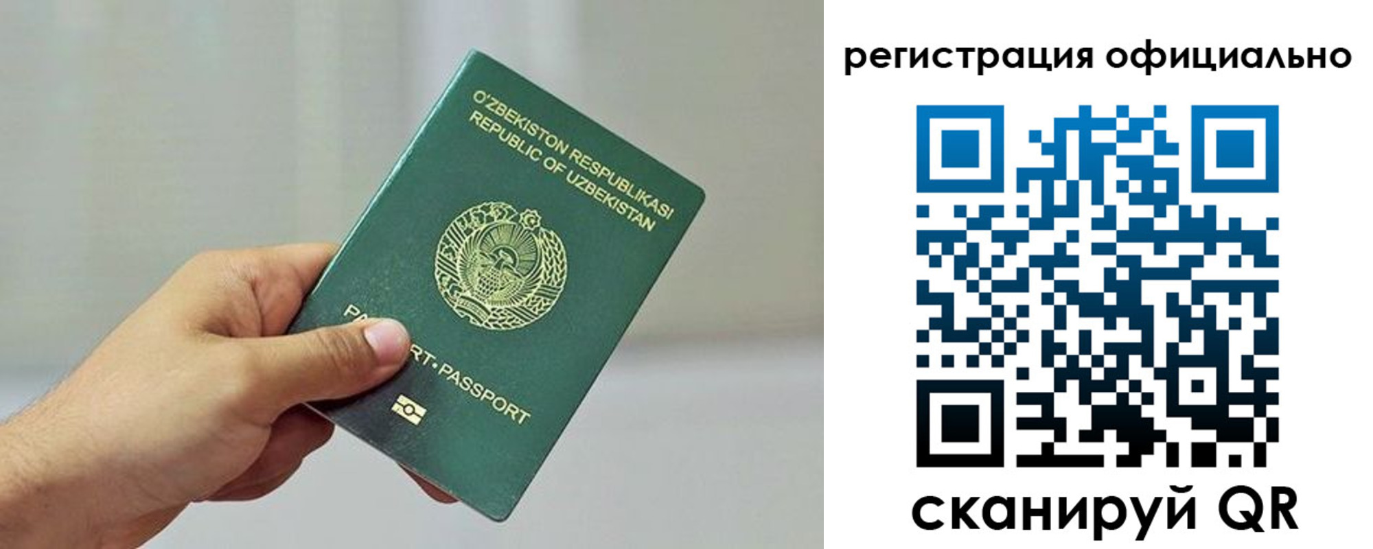 прописка в квартире в Бавлах