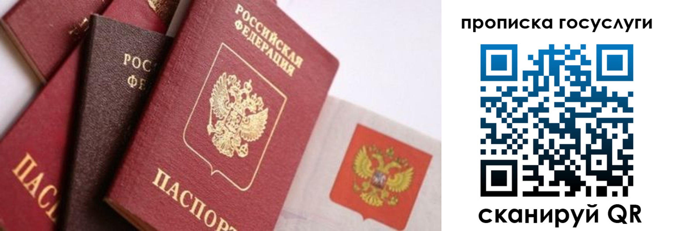 прописка законно в Бавлах